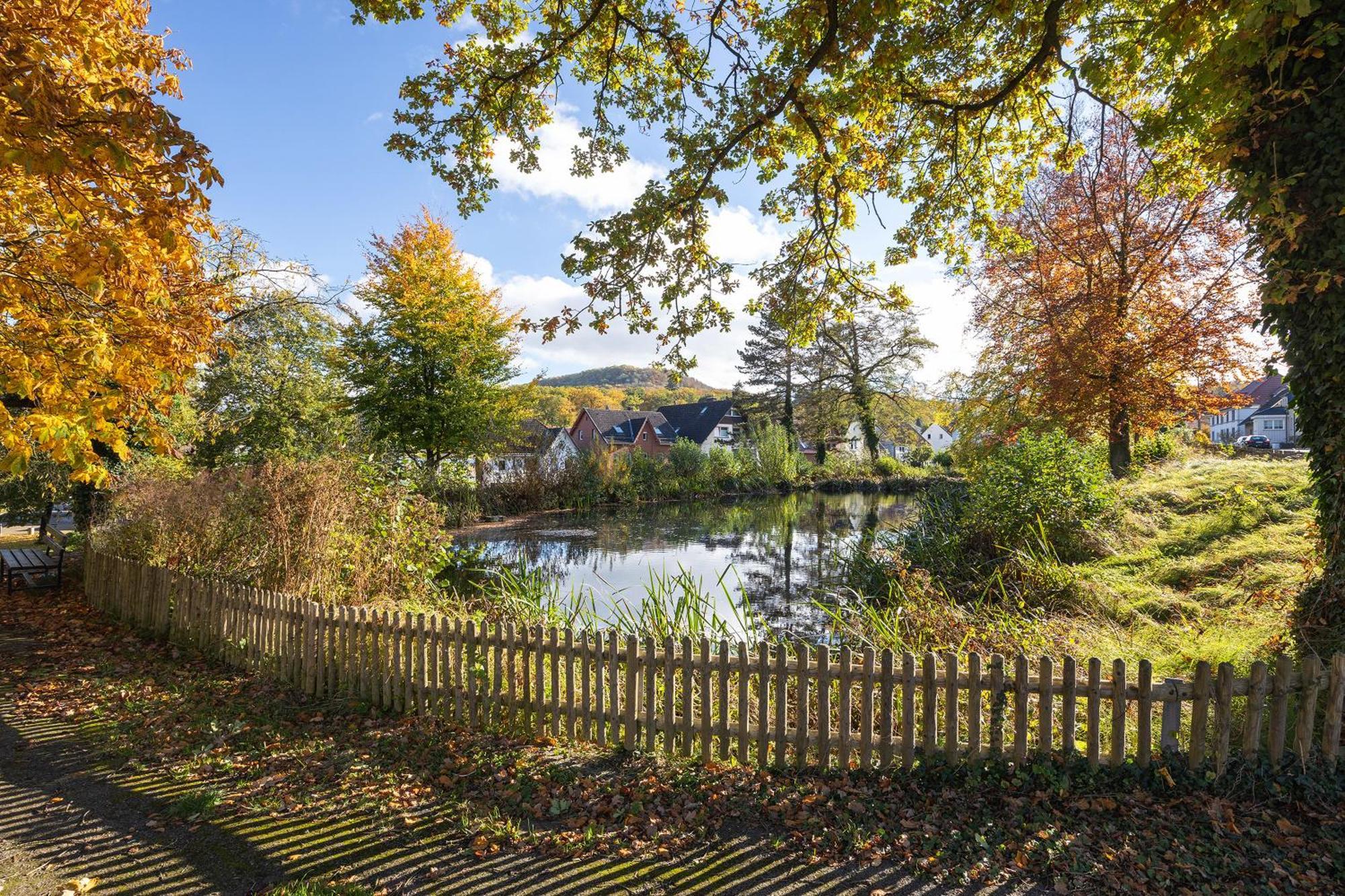 Gaestehaus Am Muehlenteich Schieder-Schwalenberg ภายนอก รูปภาพ